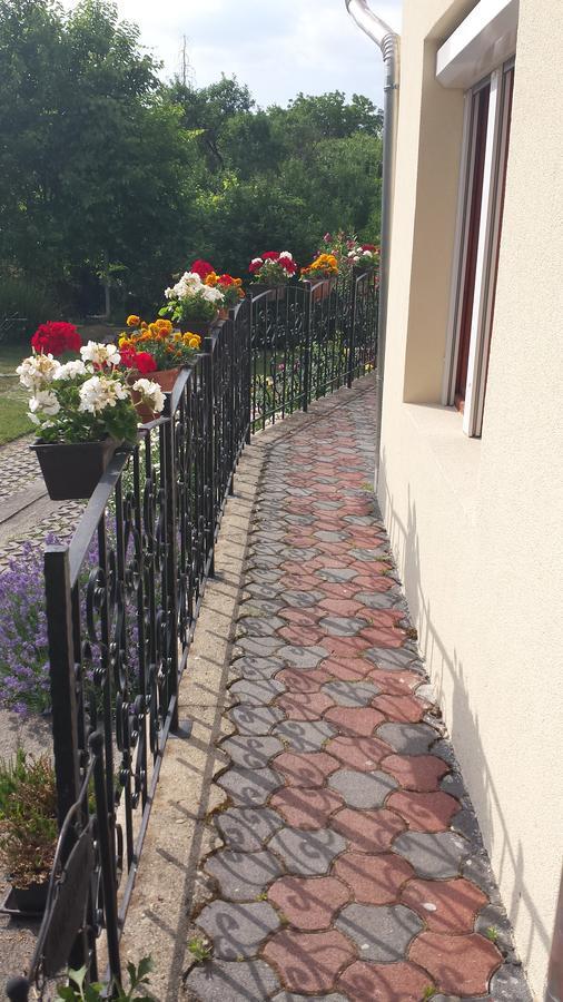Zempleni Vendeghaz Hotel Erdőbénye Exterior foto
